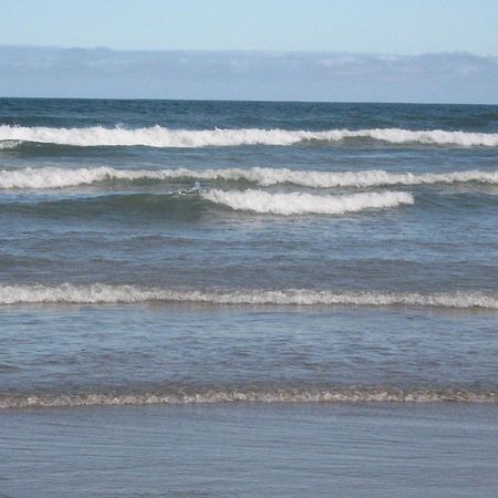 Apartmán Lindo Apto 300M Praia Da Ocian E Centro - Vista Mar- Varanda Sacada - Wi-Fi 300 Mbps - Vaga De Garagem - Acomoda Ate 6 Pessoas Praia Grande  Exteriér fotografie